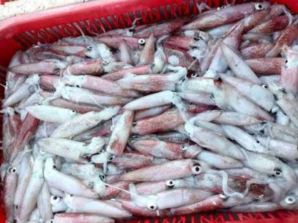 Squid & Salted Fish
