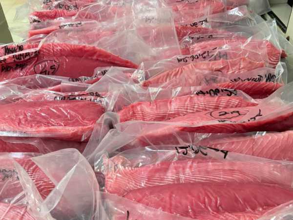 Tuna Loin & Fish Cut